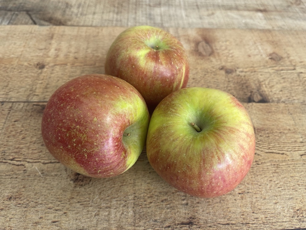 Organic Honeycrisp Apples 3 Pack - Irv & Shelly's Fresh Picks