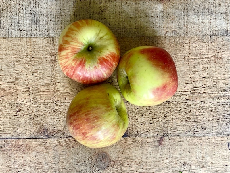 Organic Bosc Pear 3-Pack - Irv & Shelly's Fresh Picks